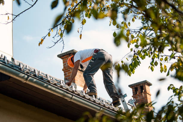 Best Roof Gutter Cleaning  in Evergreen Park, IL