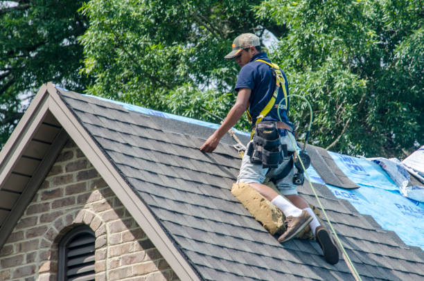 Best Residential Roofing Contractor  in Evergreen Park, IL